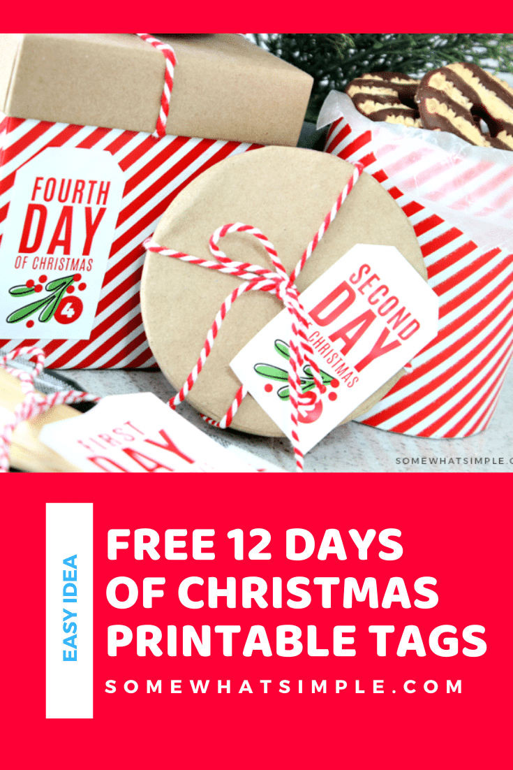 12 Days Of Christmas Tags FREE Printable Somewhat Simple 12 Days Of Christmas Tags FREE Printable Somewhat Simple