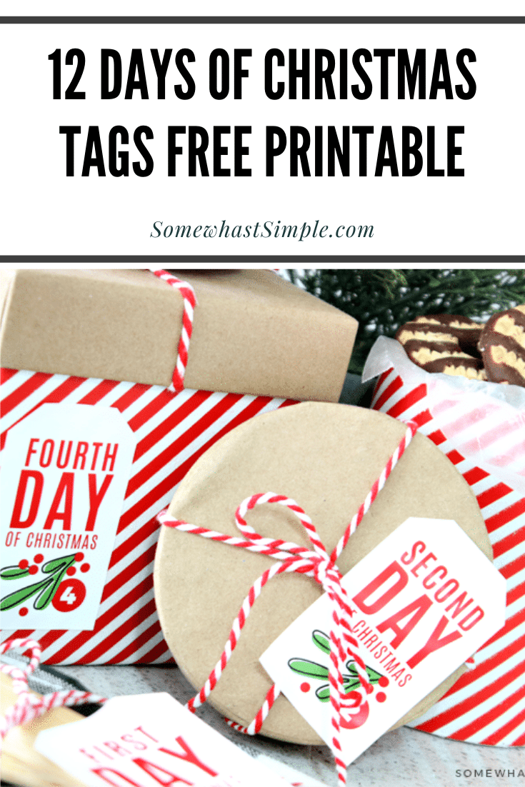 Countdown to Christmas by playing Secret Santa to your neighbors, co-workers and friends! Whether you're giving baked goods, small gifts, or a partridge in a pear tree, these 12 days of Christmas tags are a great way to tie everything together!  Download your free copy of these adorable printable gift tags today! via @somewhatsimple