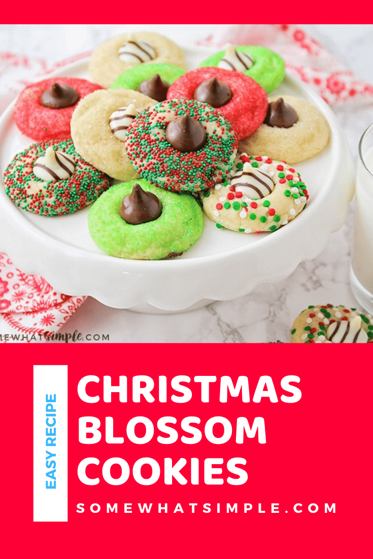 These Christmas blossom cookies are a fun and delicious way to spread some holiday cheer!  Made with your favorite sugar cookie dough, Christmas decorations and a Hershey's Kiss, these cookies are irresistible! These are so easy, they take only minutes to prepare but look like you've been baking all day! via @somewhatsimple