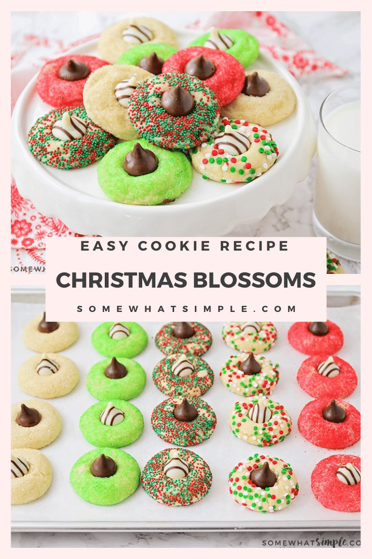 These Christmas blossom cookies are a fun and delicious way to spread some holiday cheer!  Made with your favorite sugar cookie dough, Christmas decorations and a Hershey's Kiss, these cookies are irresistible! These are so easy, they take only minutes to prepare but look like you've been baking all day! via @somewhatsimple