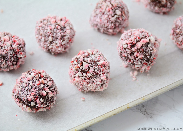 chocolate candy cane protein truffles on a tray