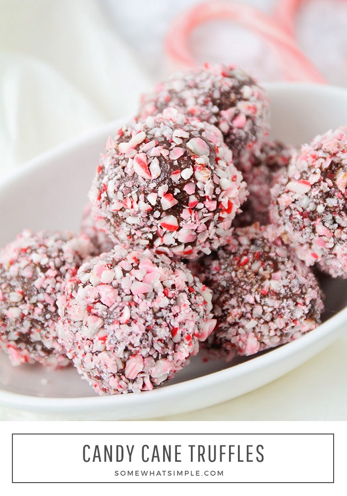 Candy Cane Protein Truffles are easy to make and tasty too! This delicious recipe is dairy, egg, nut and gluten free so it makes a great guilt-free holiday dessert! #candycaneproteintruffles #howtomakechocolateproteinbites #proteintruffleballs #healthyproteintruffles #chocolateproteintruffles #glutenfree via @somewhatsimple