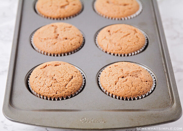 chocolate cupcakes in a muffin tin