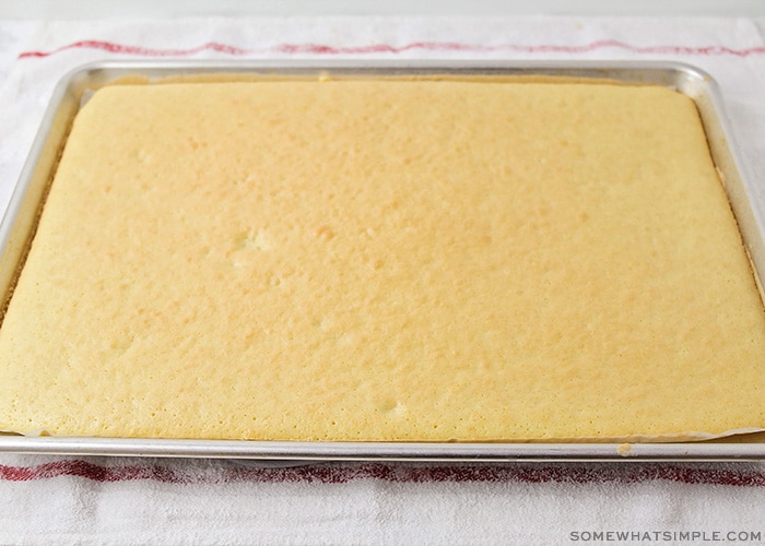 a baked cake in a rectangular sheet