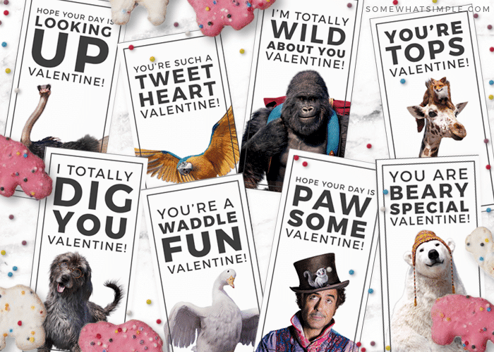 Doctor Dolittle Animal Valentine Cards - Somewhat Simple