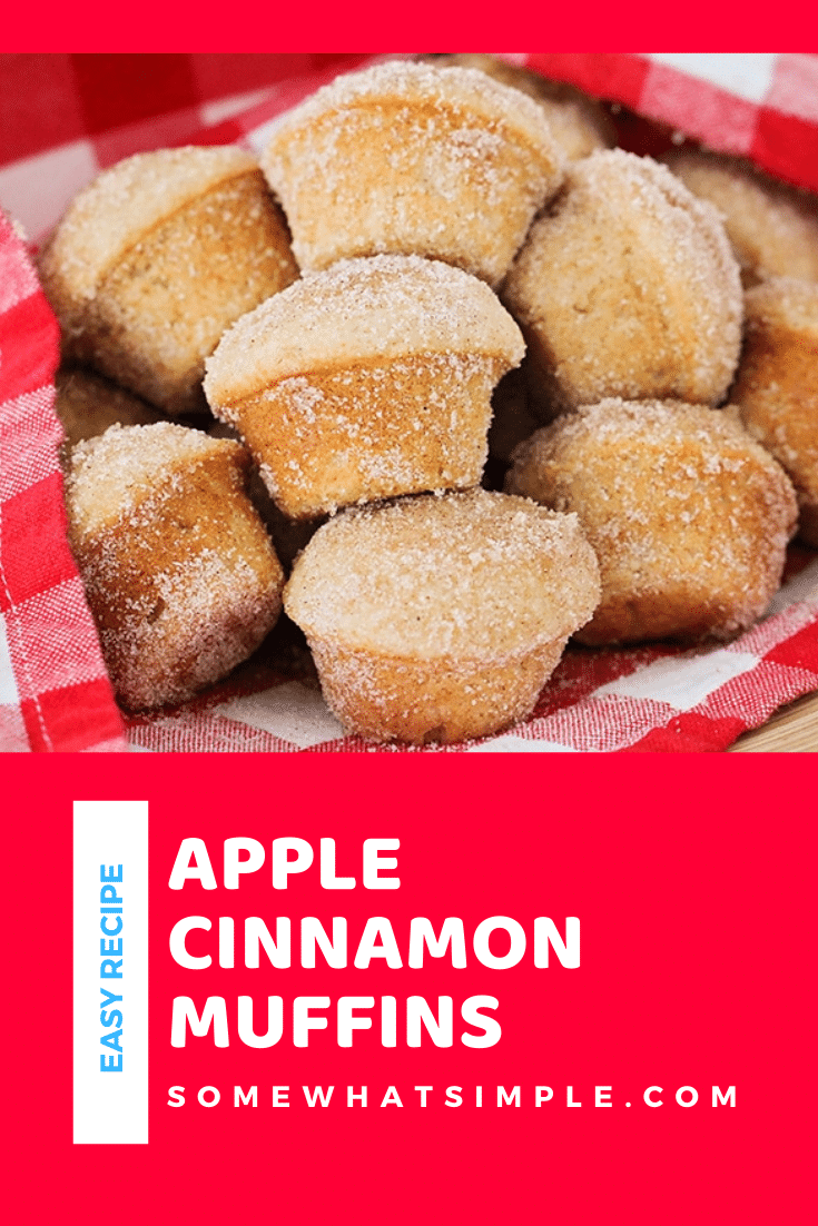 These apple cinnamon muffins are so soft, sweet and have the perfect apple flavor. These muffins are baked to perfection and are covered with an amazing cinnamon sugar topping. I promise, you won't taste anything better! This really is the best cinnamon apple muffin recipe you'll ever try! via @somewhatsimple
