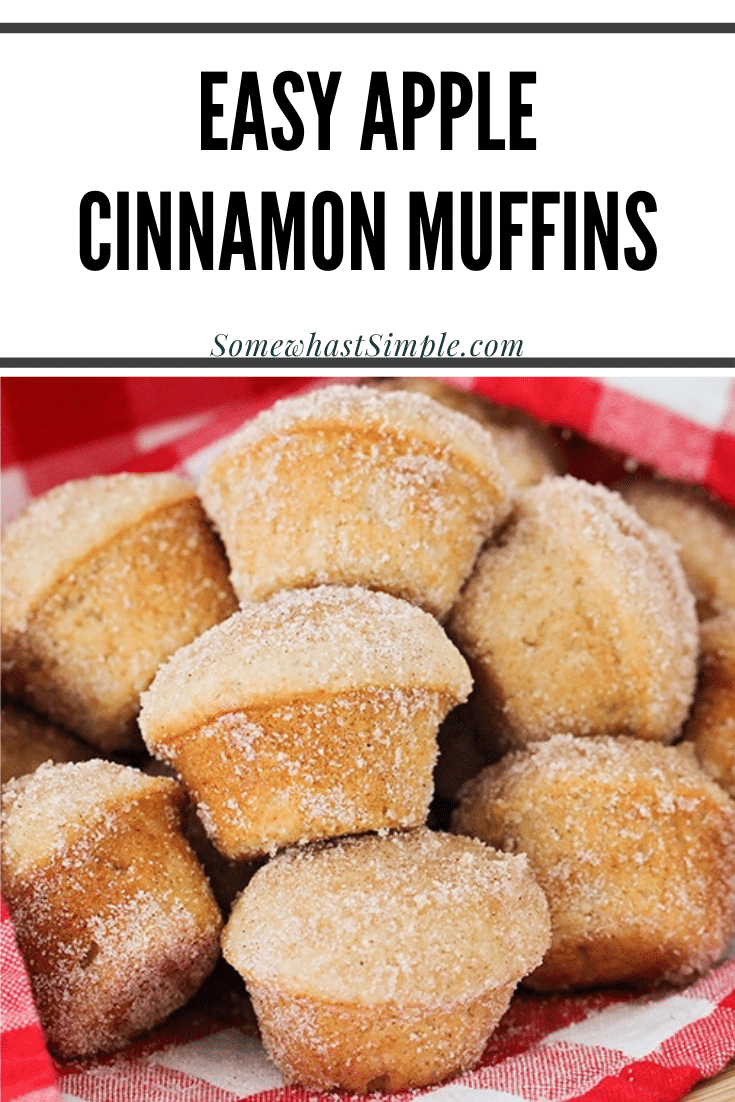 These apple cinnamon muffins are so soft, sweet and have the perfect apple flavor. These muffins are baked to perfection and are covered with an amazing cinnamon sugar topping. I promise, you won't taste anything better! This really is the best cinnamon apple muffin recipe you'll ever try! via @somewhatsimple