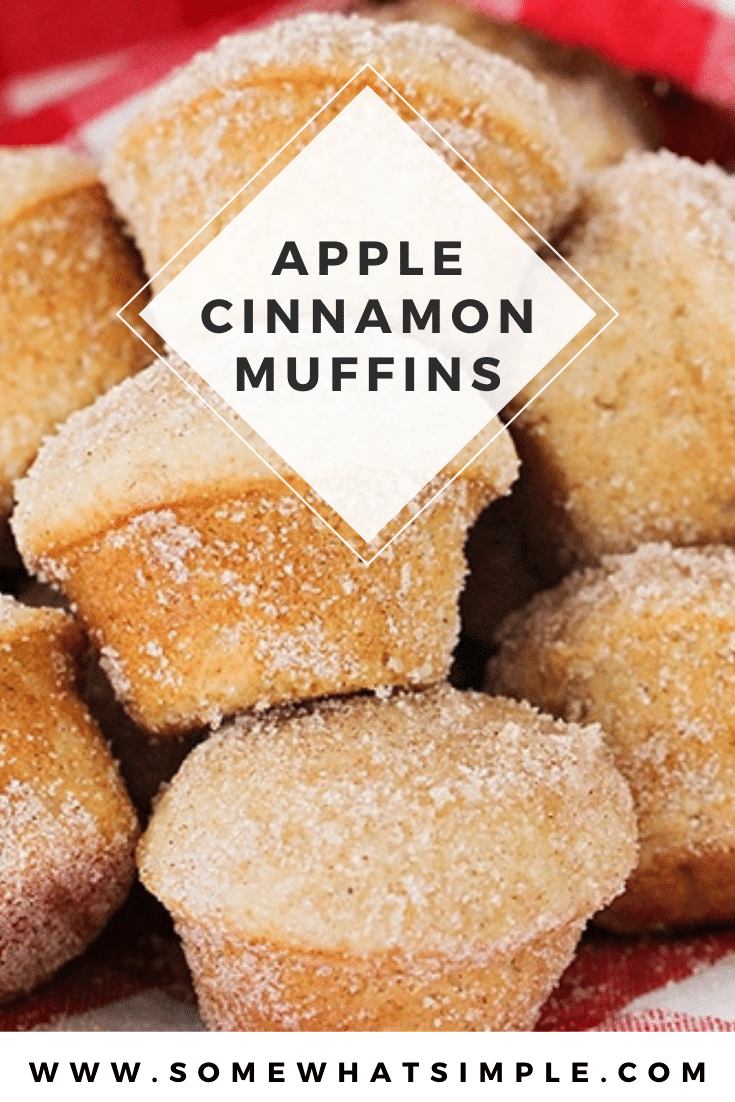 These apple cinnamon muffins are so soft, sweet and have the perfect apple flavor. These muffins are baked to perfection and are covered with an amazing cinnamon sugar topping. I promise, you won't taste anything better! This really is the best cinnamon apple muffin recipe you'll ever try! via @somewhatsimple