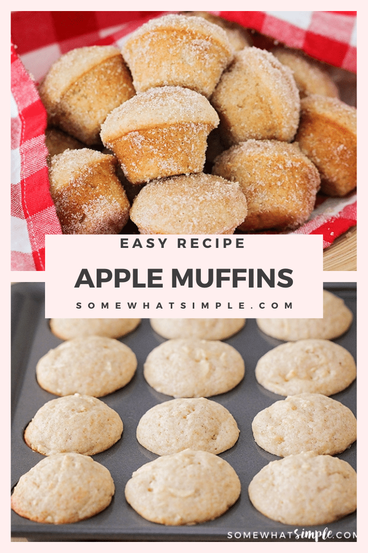 These apple cinnamon muffins are so soft, sweet and have the perfect apple flavor. These muffins are baked to perfection and are covered with an amazing cinnamon sugar topping. I promise, you won't taste anything better! This really is the best cinnamon apple muffin recipe you'll ever try! via @somewhatsimple