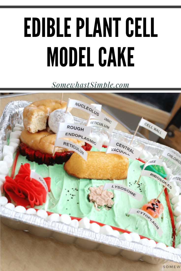 Edible Plant Cell Model Cake Labels Somewhat Simple
