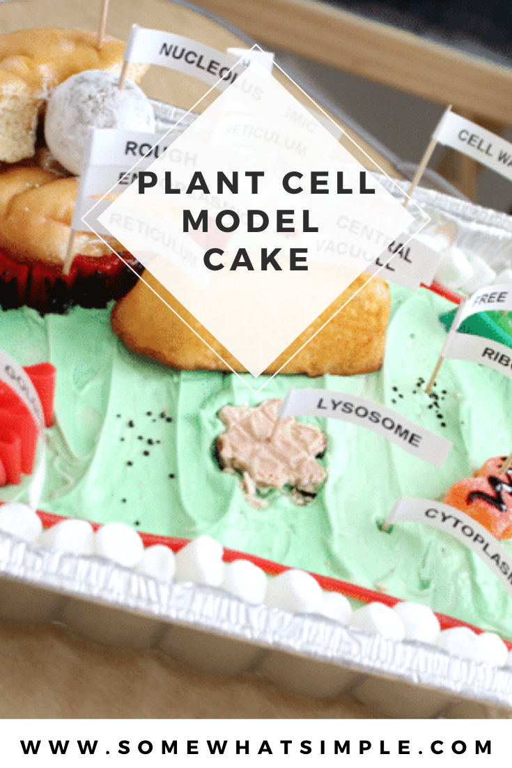 Making a plant cell model is a great way to have some fun with your kids in the kitchen! A fun, edible science project that's both educational and tasty! This 3D plant cell model cake is a fun way to learn all of the parts of a plant's cell. Plus, it comes with free printable labels so you can easily mark each part of the cell. via @somewhatsimple