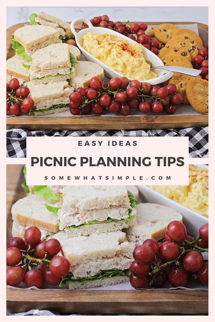 Picnics are a fun way to celebrate the summer with family and friends. These simple tips and tricks make it easy to throw the perfect picnic and enjoy delicious food! #picnic #picnictips #picnicplanning #summerideas via @somewhatsimple