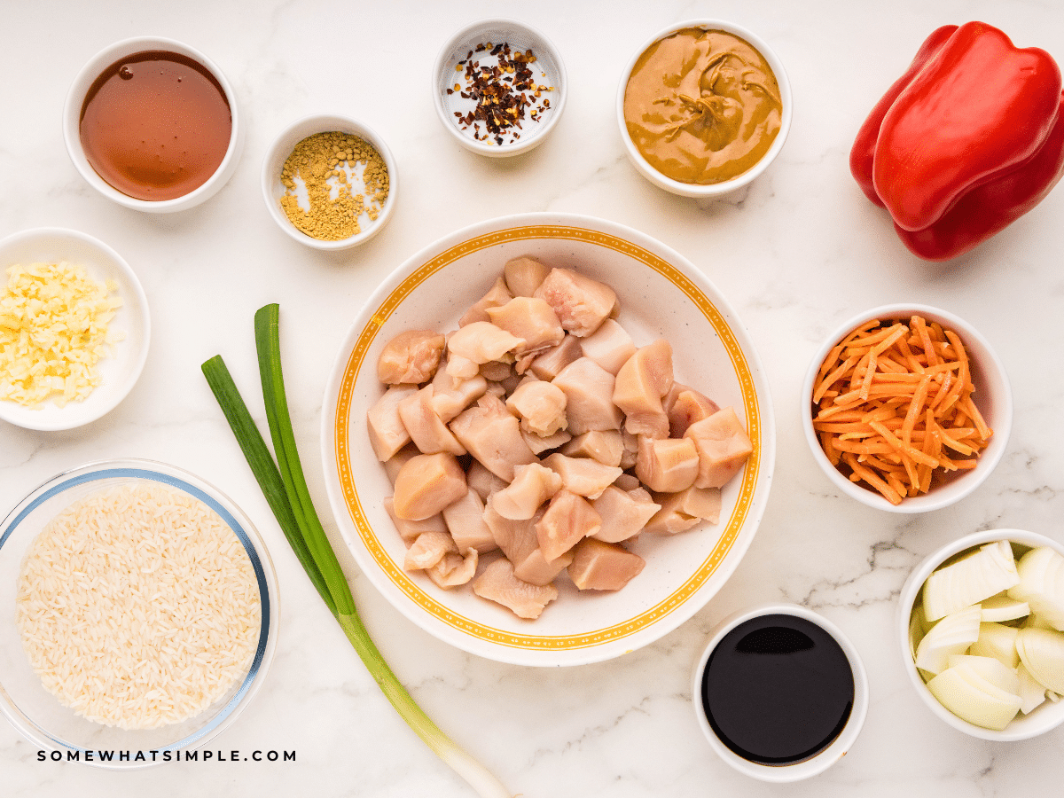 ingredients used to make Thai Chicken Satay