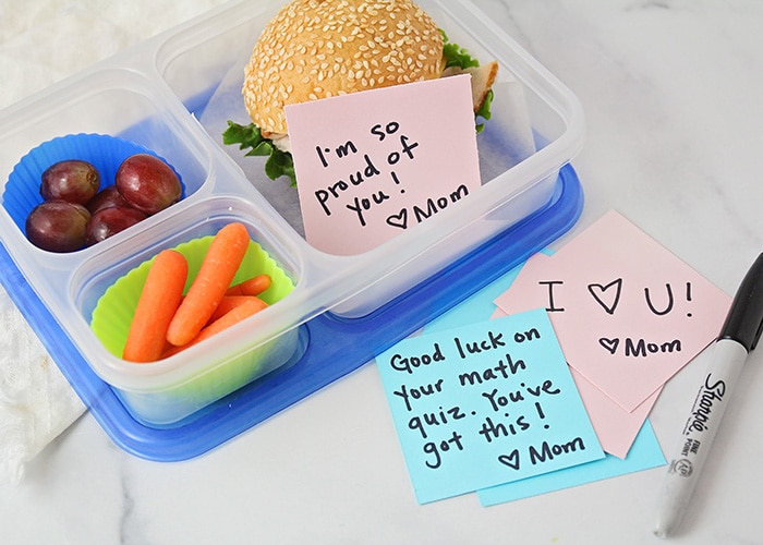 Make Ahead Lunch Box Ideas: Pack on Sunday, No morning prep! — Bless this  Mess