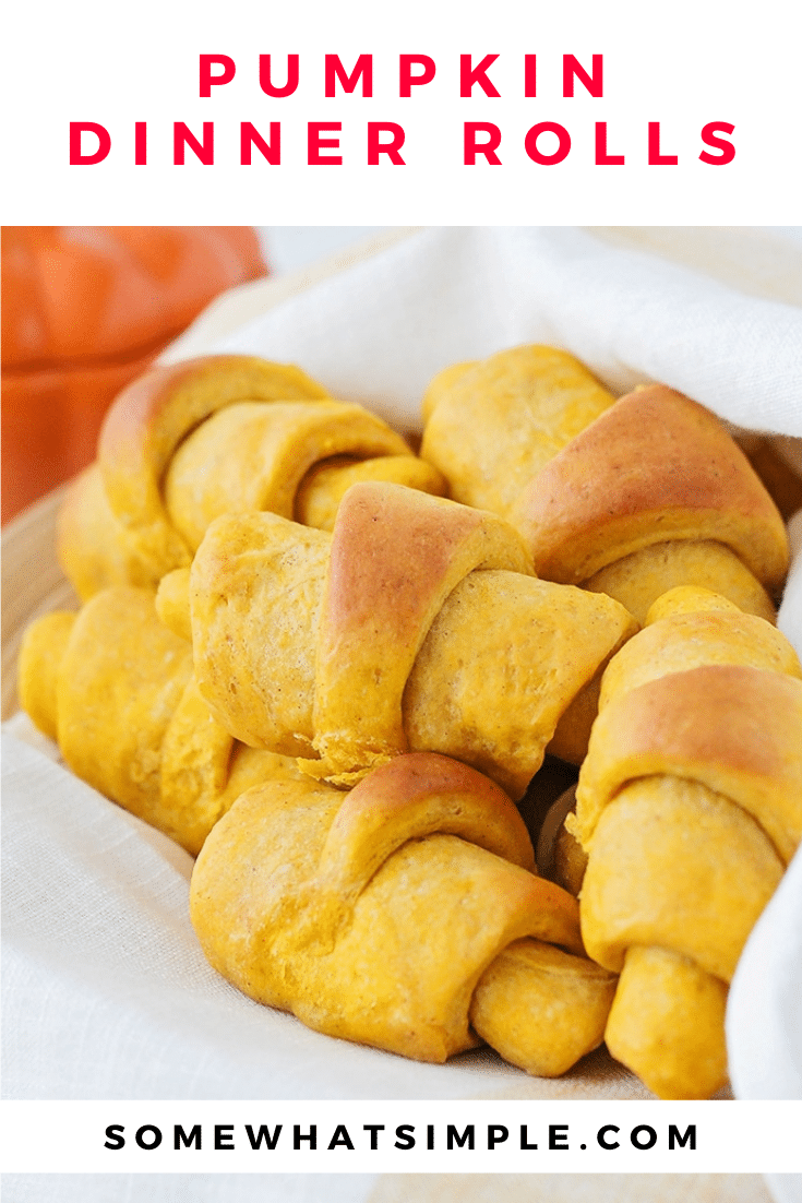 Pumpkin dinner rolls are the perfect compliment to any fall dinner recipe. These crescent rolls are easy to make and turn out soft and fluffy every time! With just the right amount of pumpkin spice, you won't be able to stop eating them! #pumpkindinnerrolls #pumpkincrescentrolls #homemadepumpkindinnerrolls #easybreadrecipe via @somewhatsimple