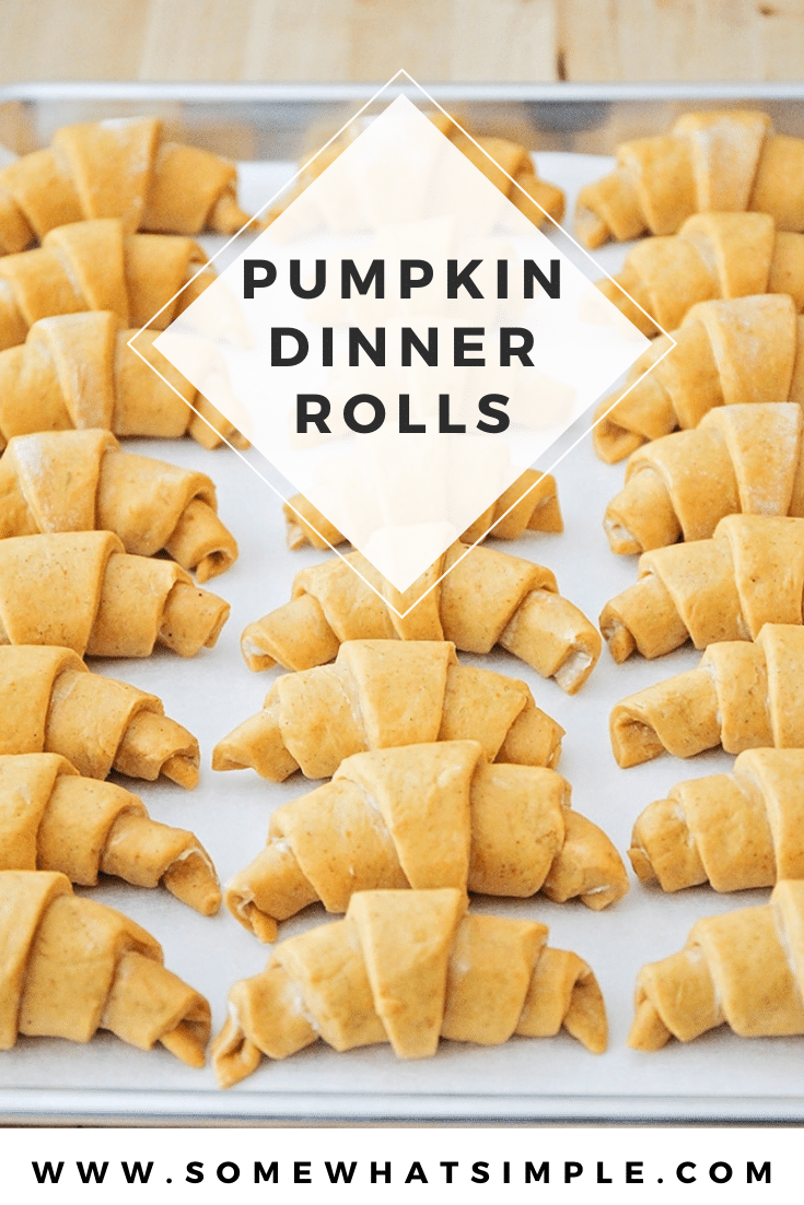 Pumpkin dinner rolls are the perfect compliment to any fall dinner recipe. These crescent rolls are easy to make and turn out soft and fluffy every time! With just the right amount of pumpkin spice, you won't be able to stop eating them! #pumpkindinnerrolls #pumpkincrescentrolls #homemadepumpkindinnerrolls #easybreadrecipe via @somewhatsimple