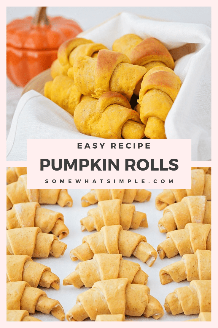 Pumpkin dinner rolls are the perfect compliment to any fall dinner recipe. These crescent rolls are easy to make and turn out soft and fluffy every time! With just the right amount of pumpkin spice, you won't be able to stop eating them! #pumpkindinnerrolls #pumpkincrescentrolls #homemadepumpkindinnerrolls #easybreadrecipe via @somewhatsimple