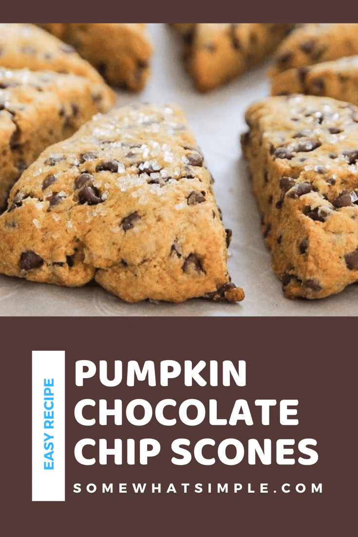 Pumpkin Scones are packed with flavor and loaded with chocolate chips! They are moist and tender and couldn't be any easier to make! They're the perfect way to begin your fall morning. #pumpkinscones #easypumpkinscones #pumpkinsconesrecipe #pumpkinchocolatechipscones #chocolatepumpkinscones via @somewhatsimple