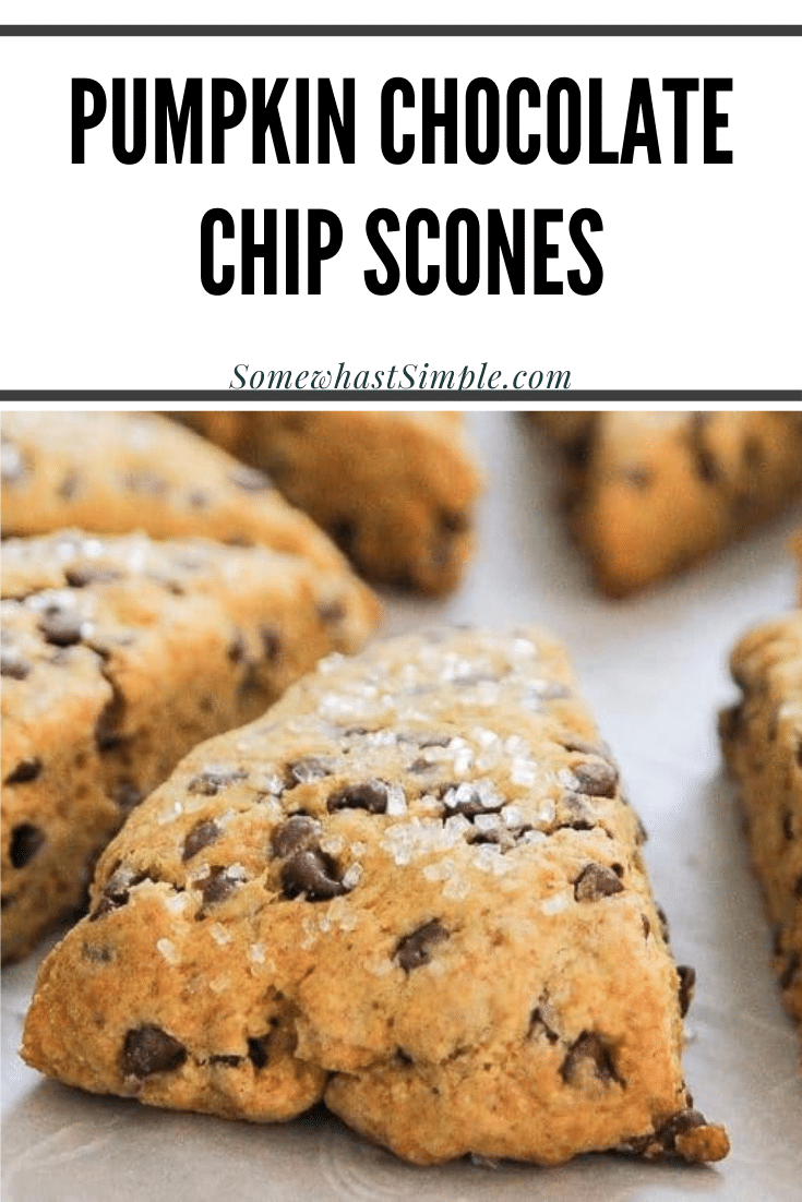 Pumpkin Scones are packed with flavor and loaded with chocolate chips! They are moist and tender and couldn't be any easier to make! They're the perfect way to begin your fall morning. #pumpkinscones #easypumpkinscones #pumpkinsconesrecipe #pumpkinchocolatechipscones #chocolatepumpkinscones via @somewhatsimple