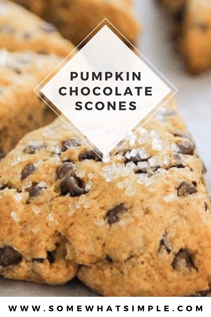 Pumpkin Scones are packed with flavor and loaded with chocolate chips! They are moist and tender and couldn't be any easier to make! They're the perfect way to begin your fall morning. #pumpkinscones #easypumpkinscones #pumpkinsconesrecipe #pumpkinchocolatechipscones #chocolatepumpkinscones via @somewhatsimple