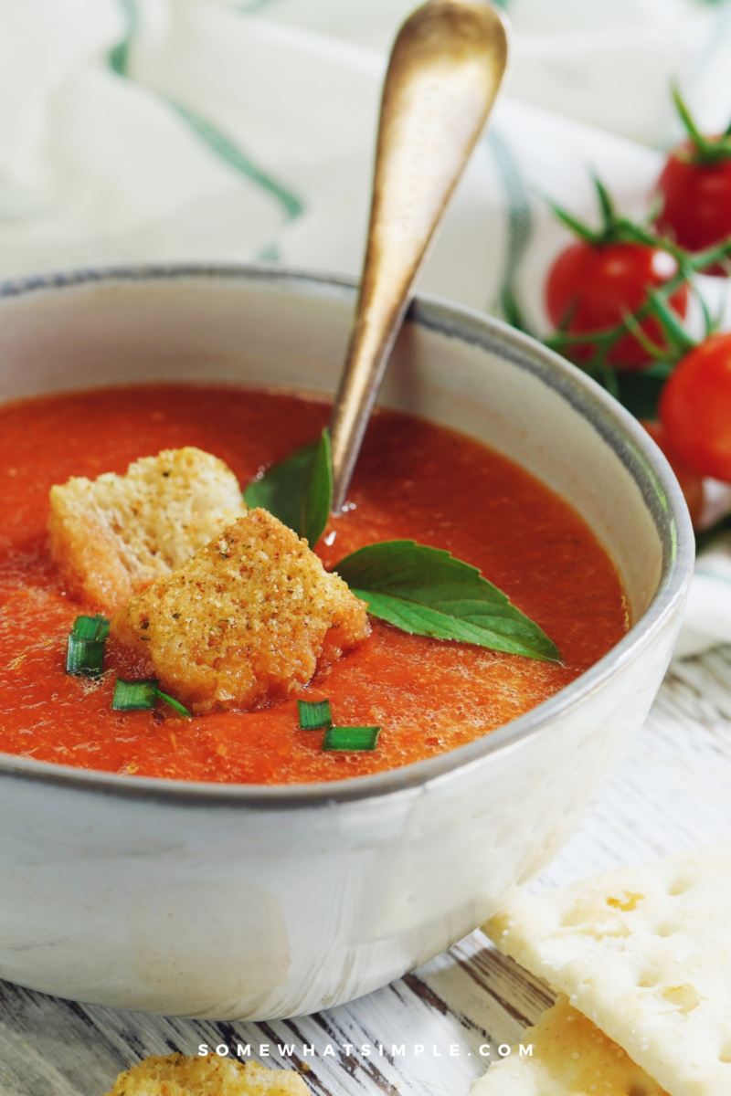 close up of tomato basil soup in a white bowl