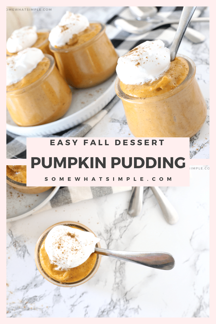 This pumpkin pudding recipe is the best I've ever made. It's creamy, sweet, and chilled to perfection! This easy recipe only takes 5 minutes to prepare and it tastes exactly like pumpkin pie without the crust! It's incredibly delicious and makes the perfect fall dessert recipe. via @somewhatsimple