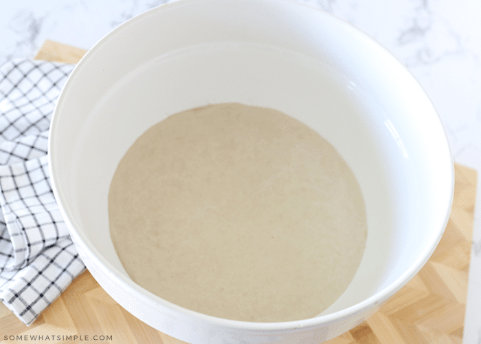 yeast and water in a bowl