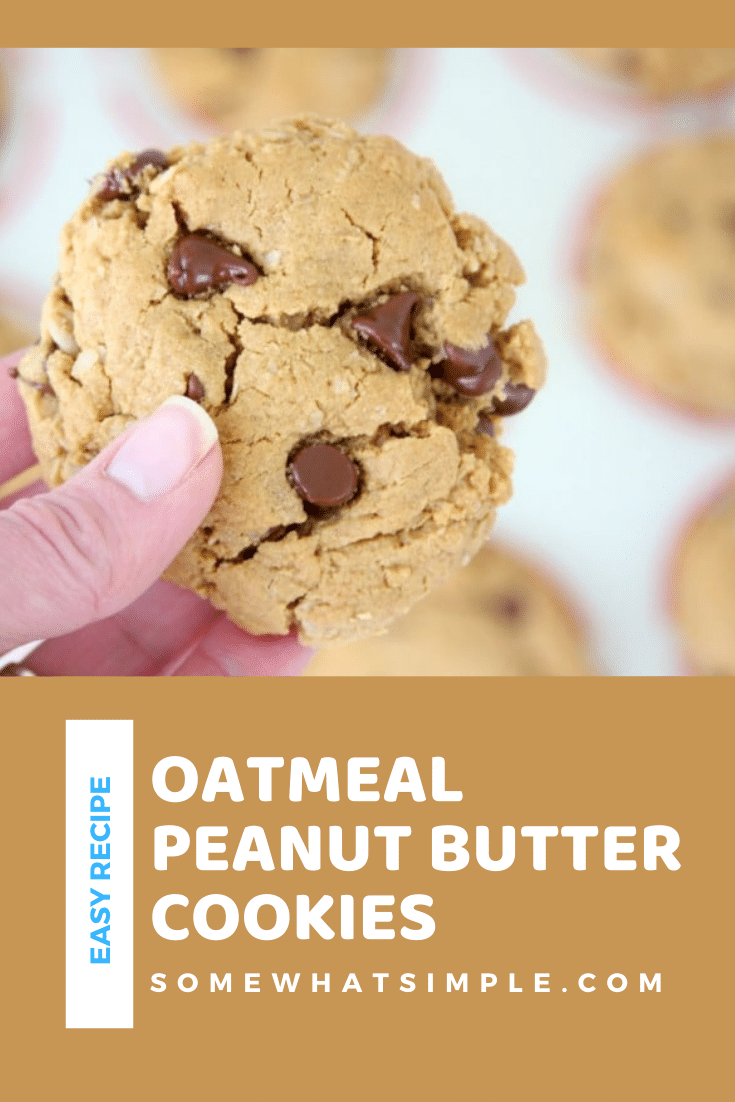 These oatmeal peanut butter cookies are loaded with chocolate chips and need only 7 ingredients. Plus, they're gluten free so everyone can enjoy them! Now pass the milk and let's start baking! via @somewhatsimple