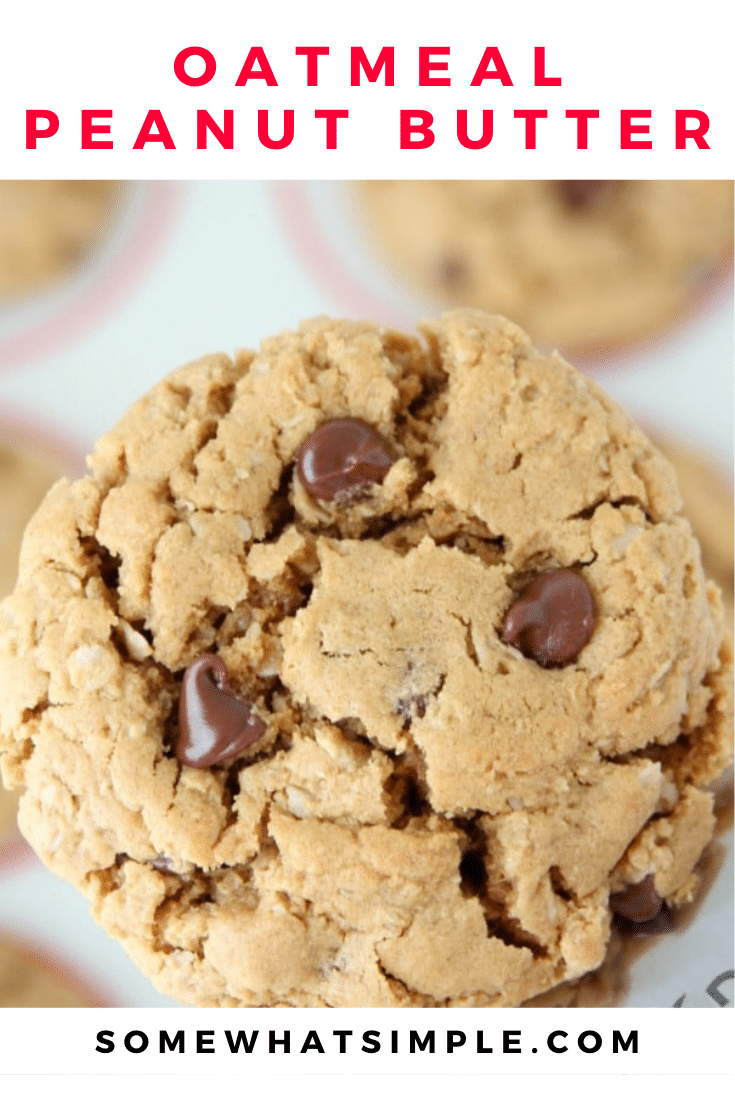 These oatmeal peanut butter cookies are loaded with chocolate chips and need only 7 ingredients. Plus, they're gluten free so everyone can enjoy them! Now pass the milk and let's start baking! via @somewhatsimple