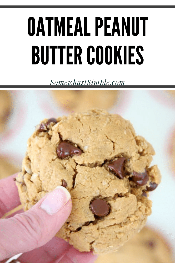 These oatmeal peanut butter cookies are loaded with chocolate chips and need only 7 ingredients. Plus, they're gluten free so everyone can enjoy them! Now pass the milk and let's start baking! via @somewhatsimple