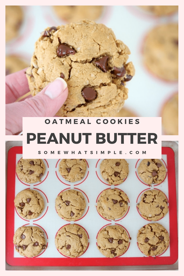 These oatmeal peanut butter cookies are loaded with chocolate chips and need only 7 ingredients. Plus, they're gluten free so everyone can enjoy them! Now pass the milk and let's start baking! via @somewhatsimple