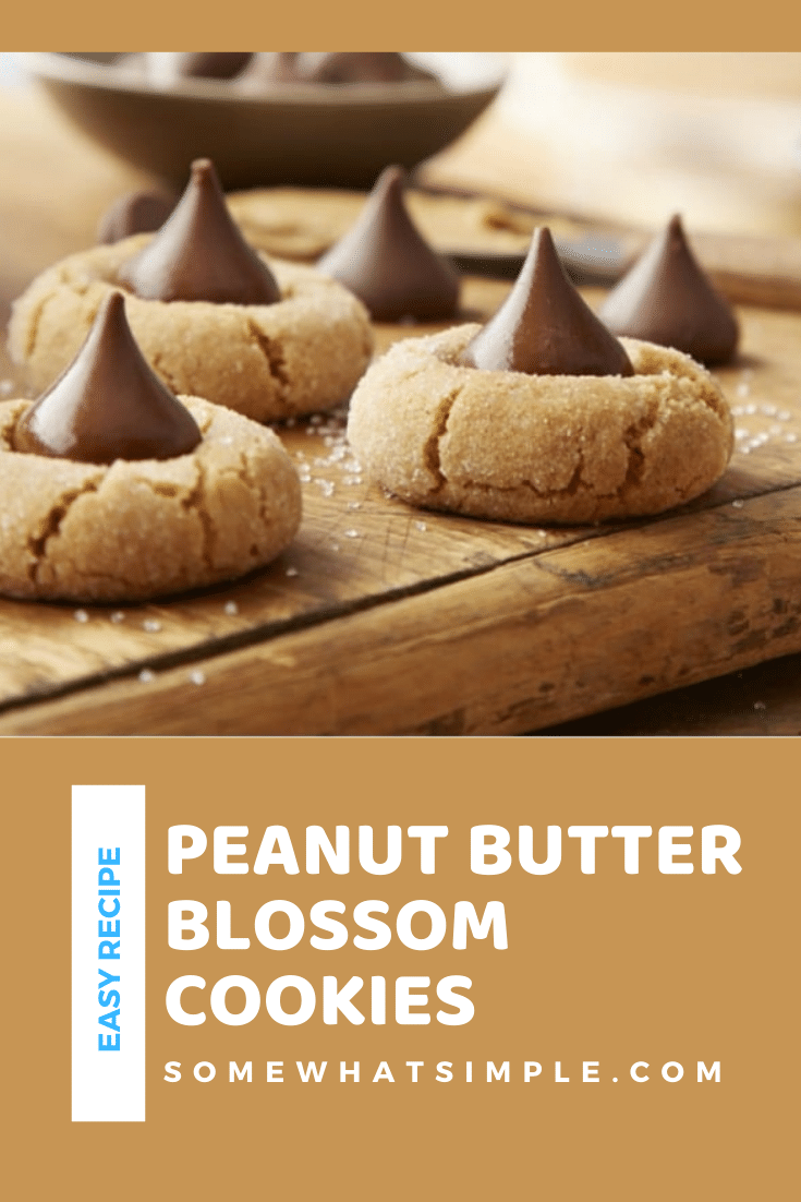 Peanut butter blossoms are an easy holiday cookie recipe that are filled with the delicious combination of peanut butter and chocolate. These cookies are made with just a few simple ingredients and make the perfect holiday dessert. via @somewhatsimple