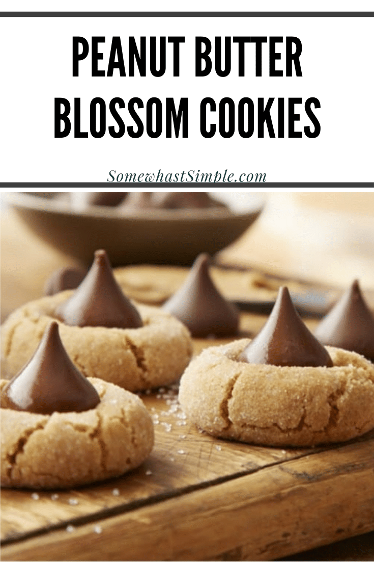 Peanut butter blossoms are an easy holiday cookie recipe that are filled with the delicious combination of peanut butter and chocolate. These cookies are made with just a few simple ingredients and make the perfect holiday dessert. via @somewhatsimple