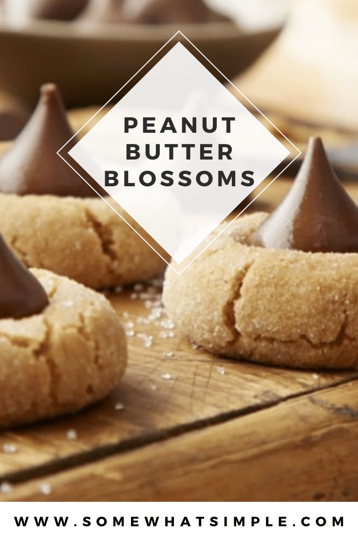 Peanut butter blossoms are an easy holiday cookie recipe that are filled with the delicious combination of peanut butter and chocolate. These cookies are made with just a few simple ingredients and make the perfect holiday dessert. via @somewhatsimple