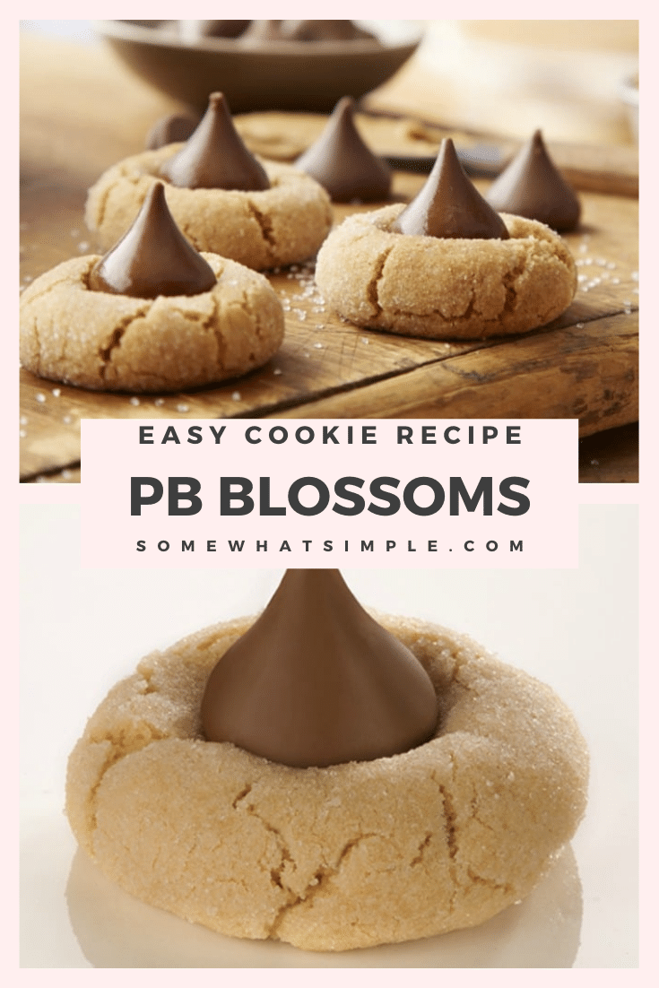 Peanut butter blossoms are an easy holiday cookie recipe that are filled with the delicious combination of peanut butter and chocolate. These cookies are made with just a few simple ingredients and make the perfect holiday dessert. via @somewhatsimple