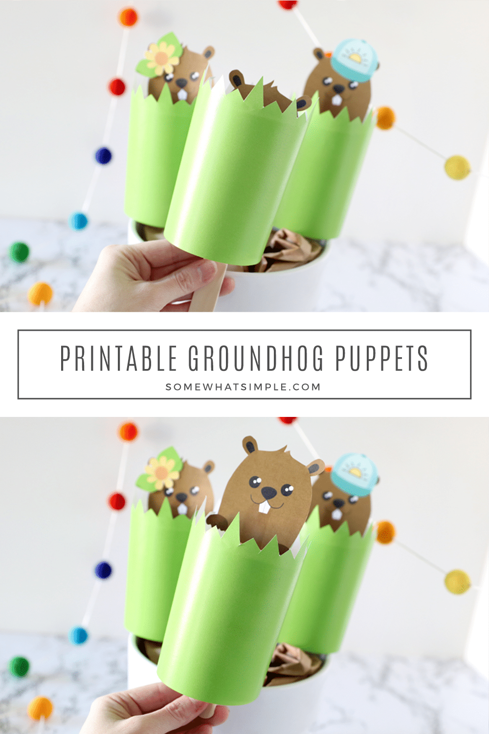 Grab the kids + a few basic craft supplies and make this cute little groundhog stick puppet for Groundhog's Day! via @somewhatsimple