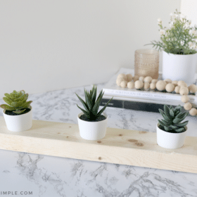 wood plant stand with 3 succulents inside