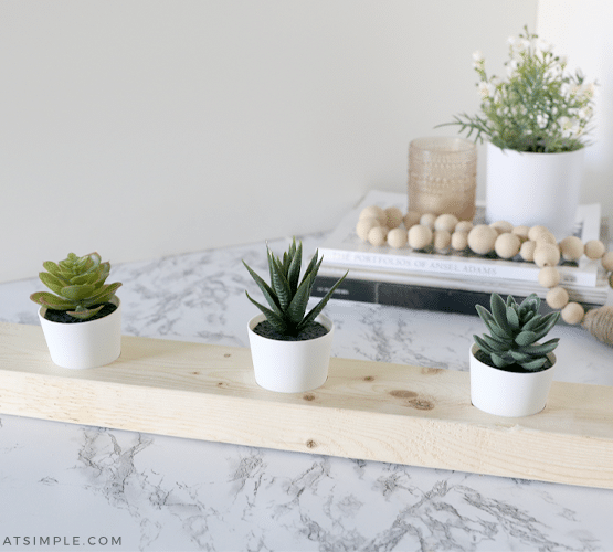 wood plant stand with 3 succulents inside