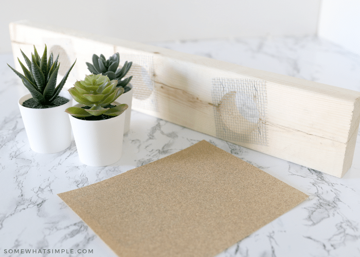 wood board, succulent plant and sand paper