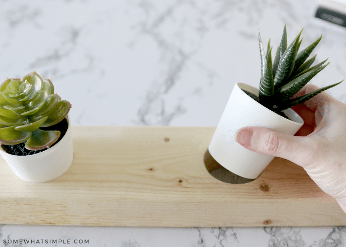 placing a succulent in a wood stand