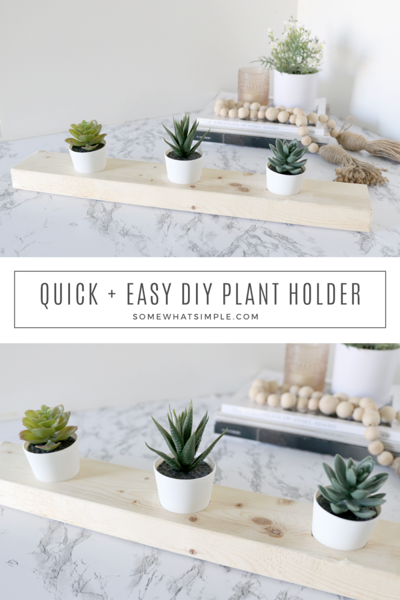 collage of pictures showing the step by step process of creating a succulent holder