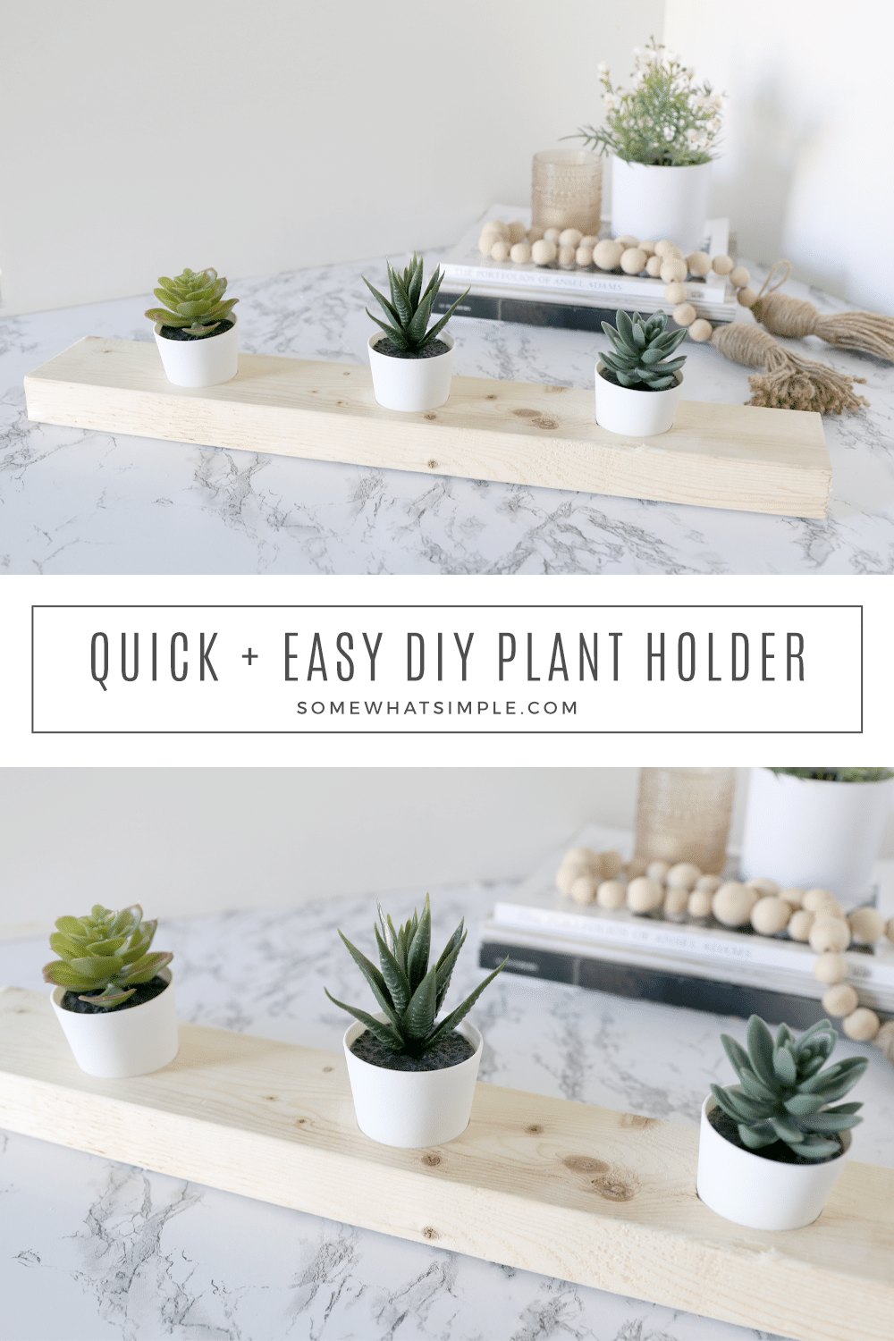 A DIY Succulent Planter that takes 5 minutes to make and costs less than $2! Simple, affordable, and fun! via @somewhatsimple