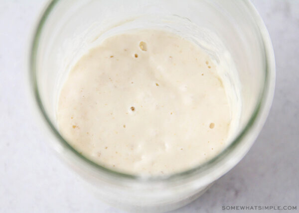 glass bowl with sourdough starter