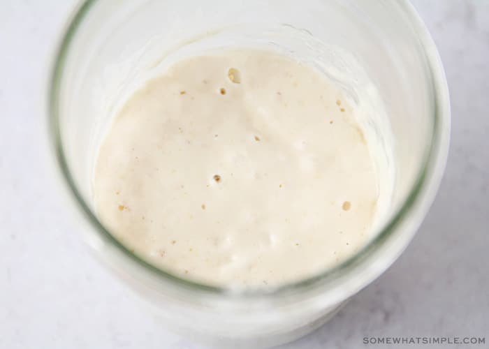 how to make a sourdough starter with flour and water