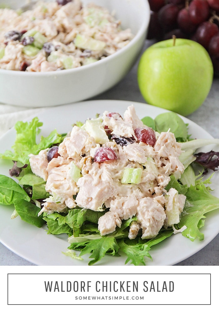 This Chicken Waldorf Salad has the most delicious combination of flavors, and it's so easy to make! It's perfect for an elegant lunch! via @somewhatsimple