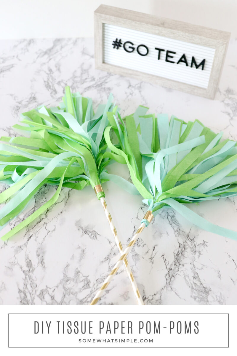 long image of tissue paper pom poms