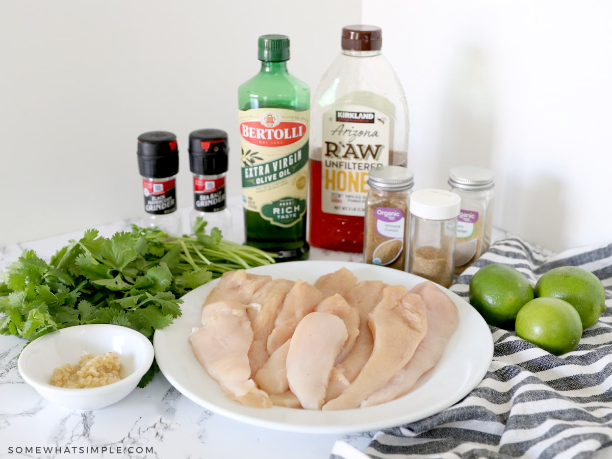 ingredients to make avocado salsa