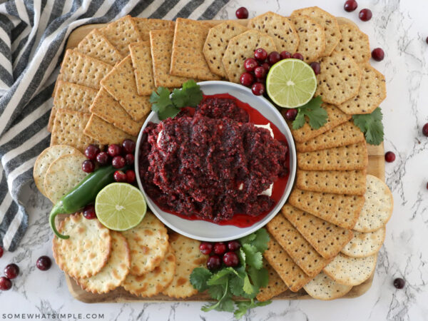 overhead shot of cranberry salsa recipe with crackers around it