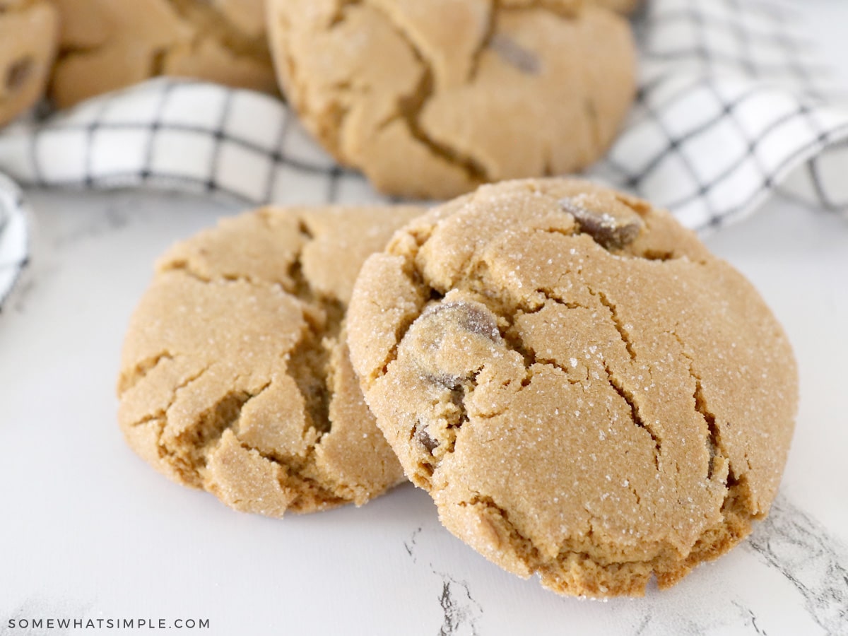 big gingersnap cookies up close to the camera