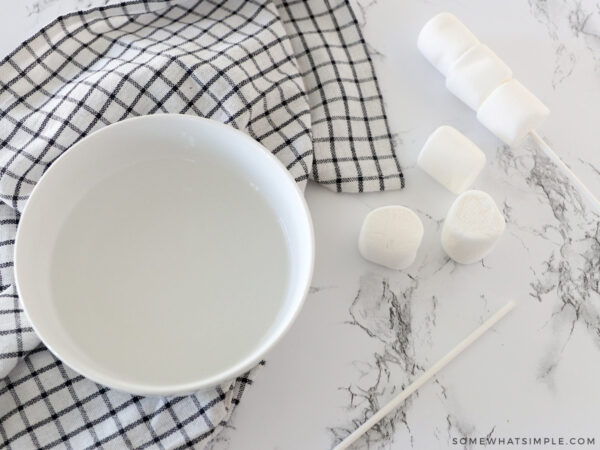 bowl of water with lollipop skewers